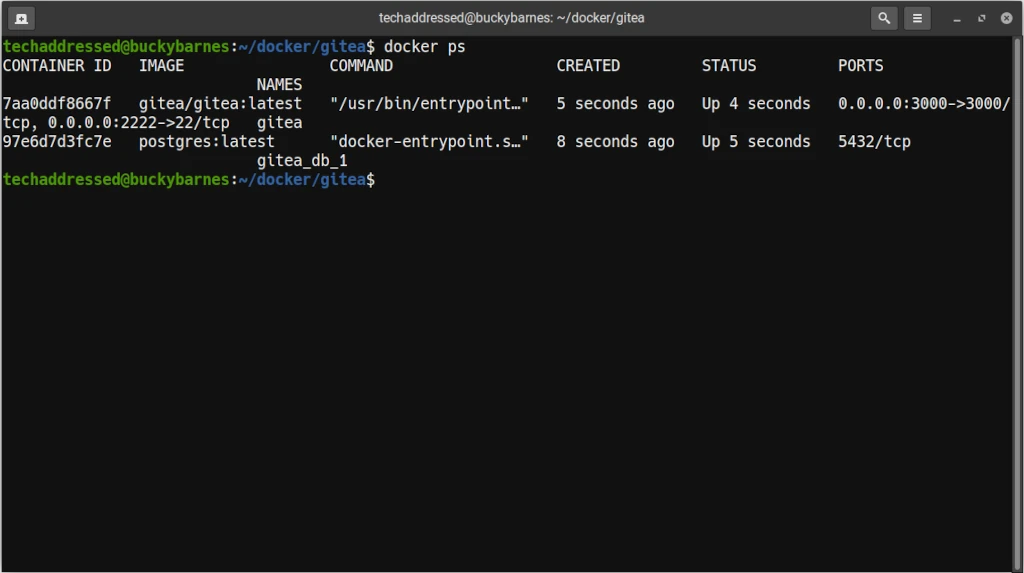 "docker ps" Example Output: Gitea + PostgreSQL Containers